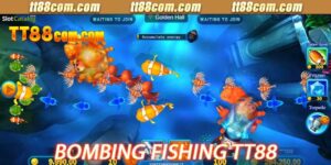 bombing fishing